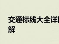 交通标线大全详图解 超实用交通标线动图图解