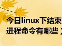 今日linux下结束一个进程的命令（linux结束进程命令有哪些）