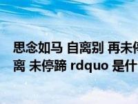 思念如马 自离别 再未停蹄什么意思（ldquo 思念如马 自别离 未停蹄 rdquo 是什么意思）