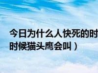 今日为什么人快死的时候会有猫头鹰叫（为什么当人快死的时候猫头鹰会叫）