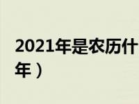 2021年是农历什么年啊（2021年是农历什么年）