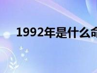 1992年是什么命格（1992年是什么命）