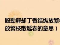 殷勤解却丁香结纵放繁枝散诞春的意思（殷勤解却丁香结 纵放繁枝散诞春的意思）