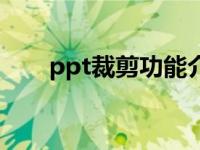 ppt裁剪功能介绍（ppt裁剪工具在）