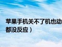 苹果手机关不了机也动不了怎么办（苹果手机关不了机按啥都没反应）