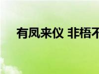 有凤来仪 非梧不栖（有凤来仪txt下载）