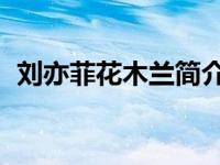 刘亦菲花木兰简介 从被金庸钦点演小龙女）