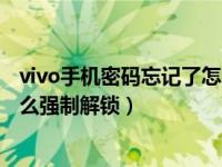 vivo手机密码忘记了怎么强制关机（vivo手机密码忘记了怎么强制解锁）