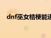 dnf巫女桔梗能进化几次（dnf巫女桔梗）