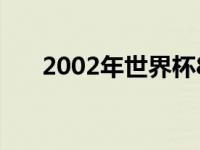 2002年世界杯8强（2021世界杯8强）