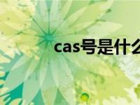 cas号是什么（cas号是指什么）