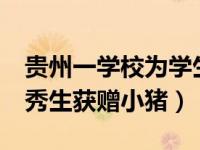 贵州一学校为学生发猪肉 云南一小学20名优秀生获赠小猪）