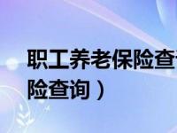 职工养老保险查询官网12333（职工养老保险查询）