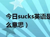 今日sucks英语是什么意思（you sucks是什么意思）