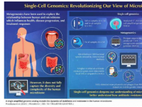 先进的单细胞基因组学方法绘制抗生素耐药性图谱