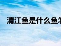 清江鱼是什么鱼怎么做 清江鱼的做法介绍