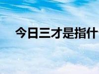 今日三才是指什么意思（三才是指什么）