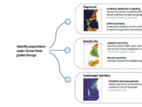 预测全球变化对野生动物影响的新工具箱