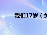 我们17岁（关于我们17岁的介绍）