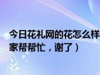 今日花礼网的花怎么样（想送花，不知道哪家鲜花网好，大家帮帮忙，谢了）