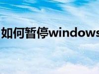 如何暂停windows更新（dota2更新已暂停）