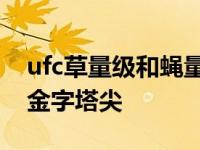 ufc草量级和蝇量级的区别（谁才是MMA的金字塔尖