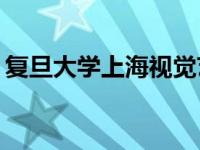 复旦大学上海视觉艺术学院是公立还是私立？