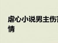 虐心小说男主伤害女主后悔的 虐到极致的言情