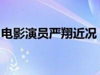 电影演员严翔近况（表演艺术家严翔今日辞世