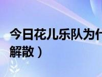 今日花儿乐队为什么转型（花儿乐队为什么要解散）