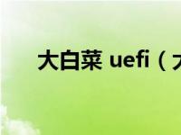 大白菜 uefi（大白菜uefi是什么意思）