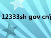 12333sh gov cn官网入口（12333sh gov）