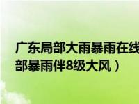 广东局部大雨暴雨在线风力达8级（广东西部珠三角等地局部暴雨伴8级大风）