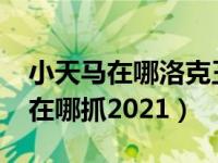 小天马在哪洛克王国2020（洛克王国小天马在哪抓2021）