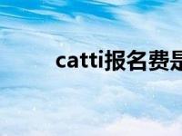 catti报名费是多少（catti报名费）