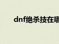 dnf绝杀技在哪学 dnf绝杀技能教学）