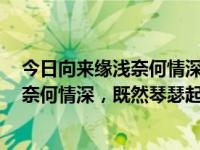 今日向来缘浅奈何情深,既然琴瑟起,何以笙箫默（向来缘浅奈何情深，既然琴瑟起何以笙箫默什么意思）