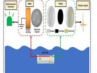 从海洋中寻找绿色能源解决方案自供电波浪传感器 新型生物燃料和改进的催化转化