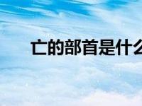 亡的部首是什么（典字的部首是什么）