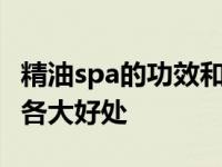 精油spa的功效和好处 精油SPA对身心健康的各大好处