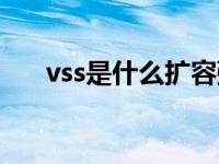 vss是什么扩容弹夹（vss是什么意思）