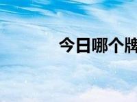 今日哪个牌子的调整型内衣好