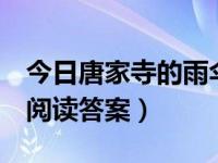 今日唐家寺的雨伞阅读讲解（唐家寺的雨伞，阅读答案）