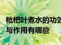 枇杷叶煮水的功效与作用（枇杷叶煮水的功效与作用有哪些