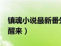 镇魂小说最新番外全文 镇魂番外41清早卧室醒来）