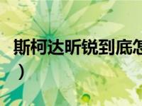 斯柯达昕锐到底怎么样（斯柯达昕锐致命缺点）