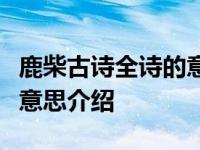 鹿柴古诗全诗的意思解释是啥（鹿柴古诗全诗意思介绍