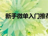 新手微单入门推荐 看完这篇让你不再纠结