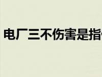 电厂三不伤害是指什么（三不伤害是指什么）