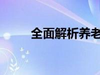 全面解析养老保险交纳地点与流程